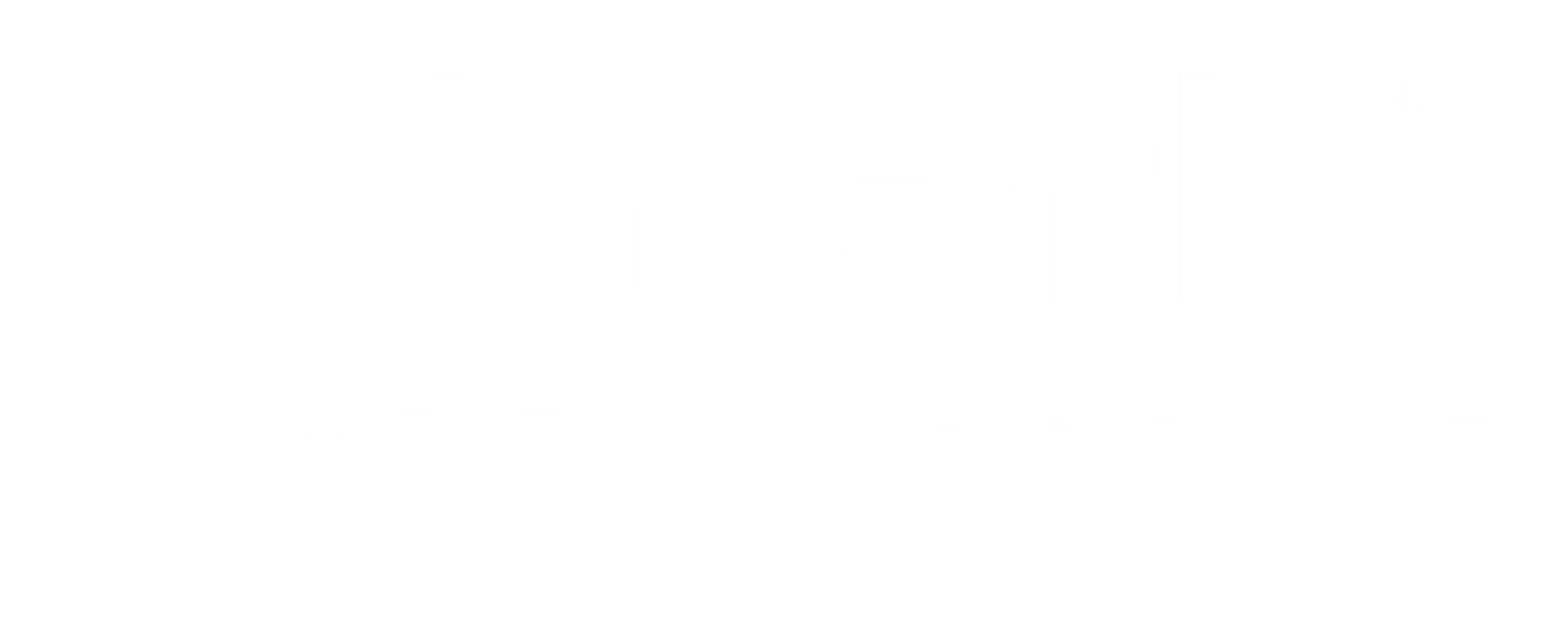 Daan Systems Crowd Management
